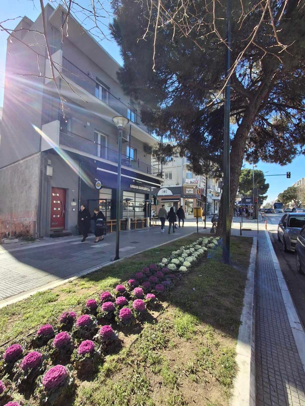 City Center Apartment 1 알렉산드로폴리스 외부 사진